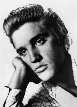 Elvis shooting target sells for $27,500