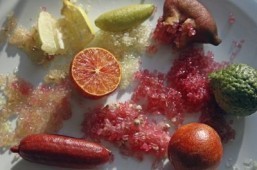 Citrus caviar: France discovers Australia’s exotic condiment