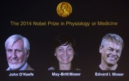 Trio win Nobel medicine prize for brain’s ‘GPS’