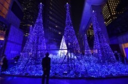 Around the world in 8 Christmas trees