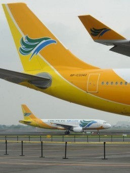 Philippines’ largest airline joins shark fin ban