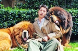 Dog ‘sold for $2 million’ in China: report