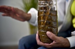 ‘Grandma’s magic remedy:’ Mexico’s medical marijuana secret