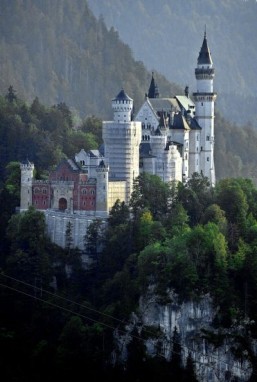 Interest in Germany builds with World Cup victory