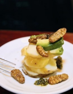 Scorpions, beetles on menu at Paris bar