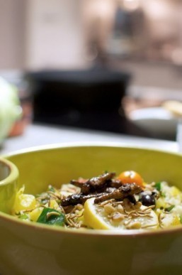 Insects making eco-friendly buzz in Dutch kitchens