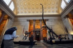 New York museum to host first sleepover for adults