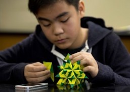 Ancient Asian art of origami gains following in West