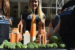 Charity declares New York vegan capital of 2014