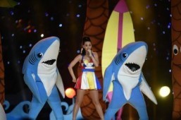 Singer Katy Perry The singer is currently the most popular person on Twitter ©AFP PHOTO / TIMOTHY A. CLARY
