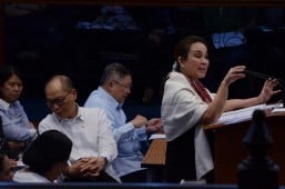 Senate panel allots P10B for Marawi rehab in 2018