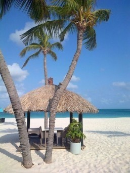 Aruba resort named most romantic hotel in the world: TripAdvisor