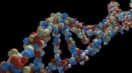 Depression linked to genes inherited from Neanderthals: study