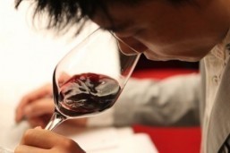 Preparations underway for second edition of Vinexpo Tokyo