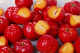 Colds, fatigue, stress? Make vitamin C a friend this fall