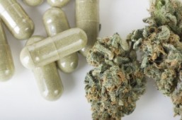 Florida voters set to legalize medical marijuana: survey