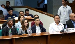 Drilon: Every Senate panel has power to grant protective custody