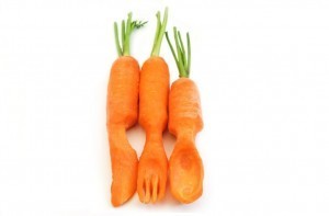 Everything you know about dieting is wrong: US scientists
