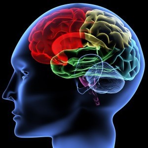 Brains of addicts are inherently abnormal: study