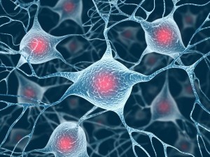 US study finds Alzheimer’s spreads like infection