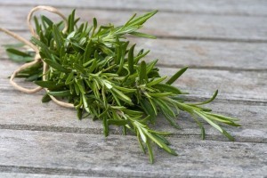 Need an extra boost of brain power? Take a whiff of rosemary