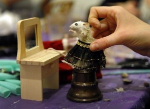 Macabre hobby gives dead animals new life