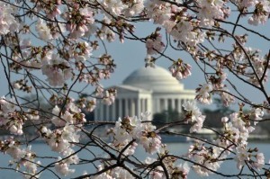 Images of the week: Prague, Tokyo, Washington