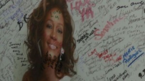 Whitney Houston drowned after taking cocaine