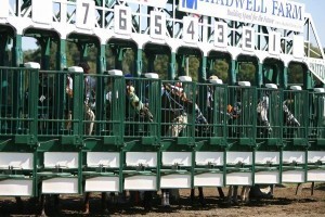 Horse racing: Scientists say secret of success is the pack