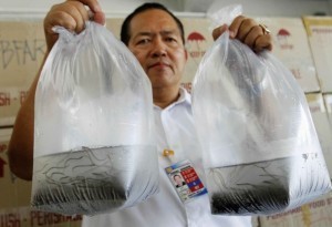 PHL stops baby eels being sent to Hong Kong