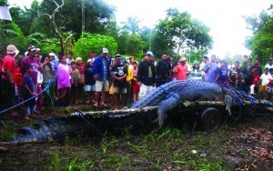 Guinness says ‘Lolong’ is world’s largest crocodile