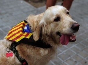 Twitter index: September 11, National Day of Catalonia