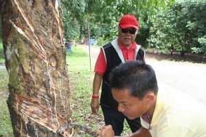 Rubber industry aims to double production by 2016