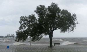 ‘Bluster’ becomes Dictionary.com’s 2012 Word of the Year