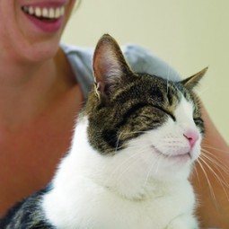 Secrets to Raising a Happy, Healthy Cat
