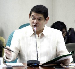 Reported burning of Marwan’s hut immaterial to Mamasapano probe – CIDG chief Magalong