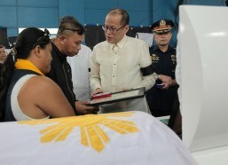 Palace: No whitewash in Fallen 44 probe
