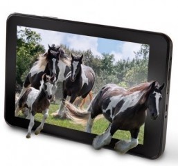 Holiday buying guide: tablets