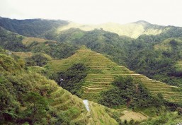 PHL’ famed rice terraces face modern threats