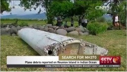 Malaysia Airlines says ‘premature’ to speculate on wreckage