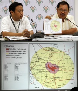 DOH on heightened alert amid bird flu outbreak in Pampanga