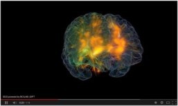 ‘Glass Brain’ shows neurons firing in real time