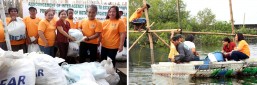 Stronger law enforcement key to boosting fish production, says fisheries bureau