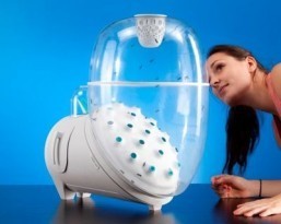 Kitchen appliance lets you grow your own insects for dinner
