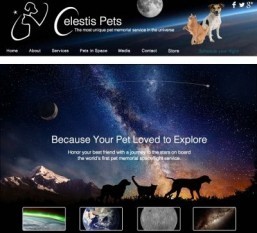 Would you send your dog’s ashes into space?