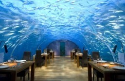 And the most beautiful restaurant in the world is…