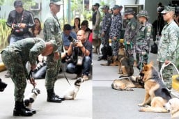 PNP watchdog: Dismissal for cops who raided, robbed Caloocan house