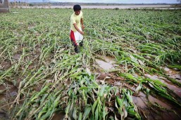 ‘Lawin’ agri, infra damage now at PHP2.5-B