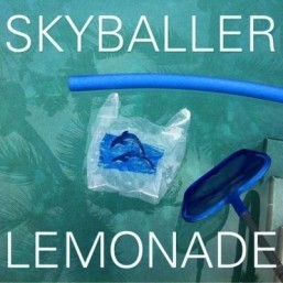 Most blogged artists: Chris Malinchak, Lemonade