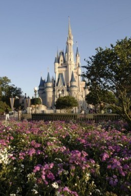 World’s most visited theme park for 2014: Magic Kingdom